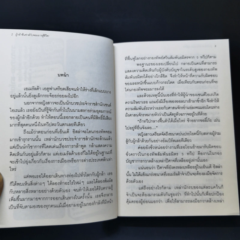 ผู้กล้าซึนซ่าส์กับจอมมารสู้ชีวิต เล่ม 1-10 รูปที่ 18
