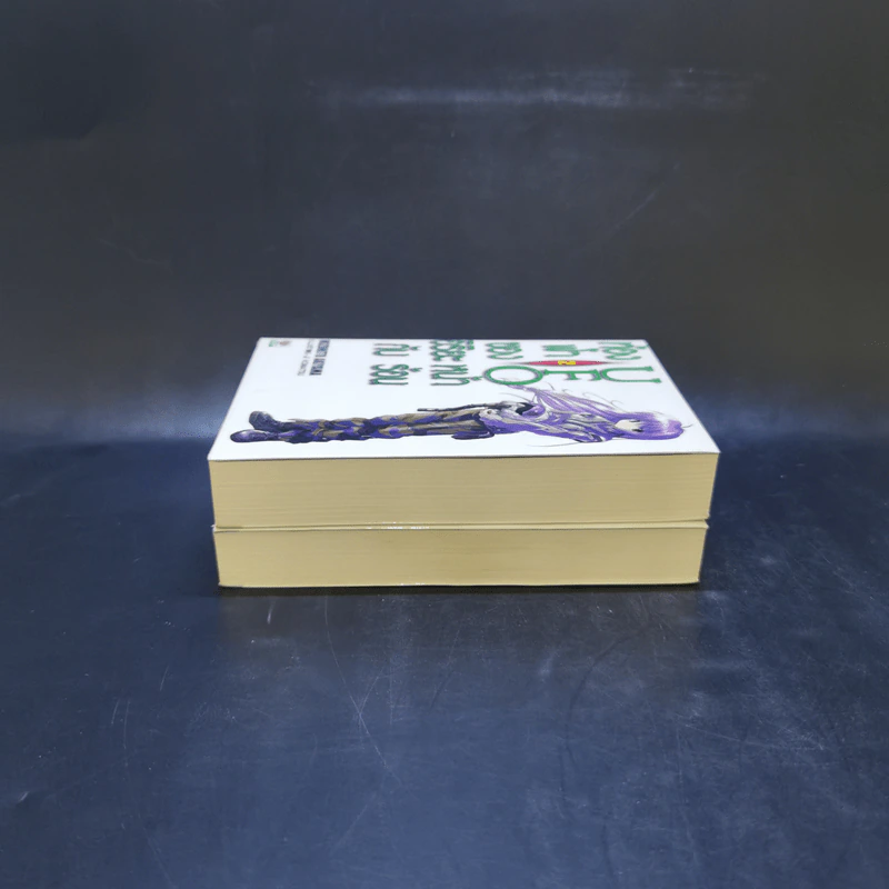 ท้องฟ้าของอิริยะกับ UFO หน้าร้อน เล่ม 1-2 รูปที่ 4