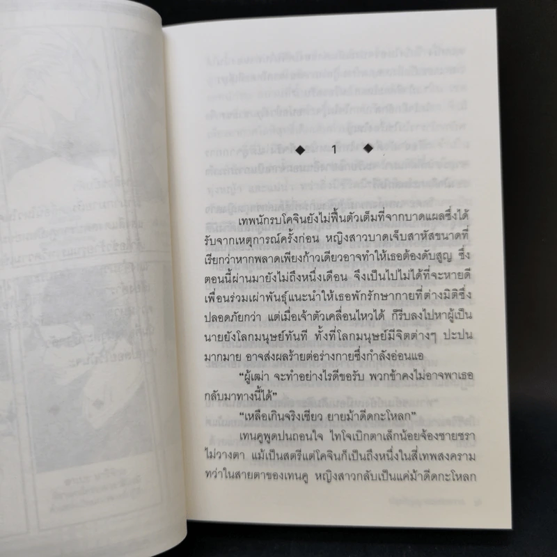 โชเน็น อนเมียวจิ จอมเวทปราบมาร เล่ม 1,15,16 รูปที่ 11