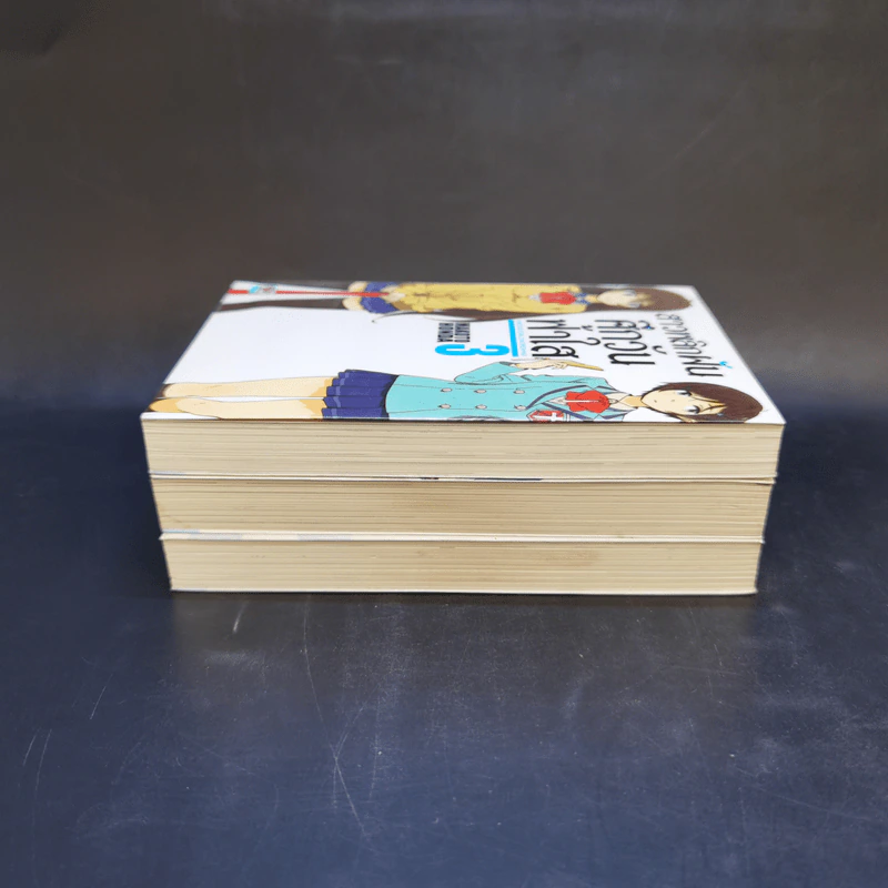 นิยาย สาวพลิกฝันศึกวันฟ้าใส เล่ม 1-3 รูปที่ 4