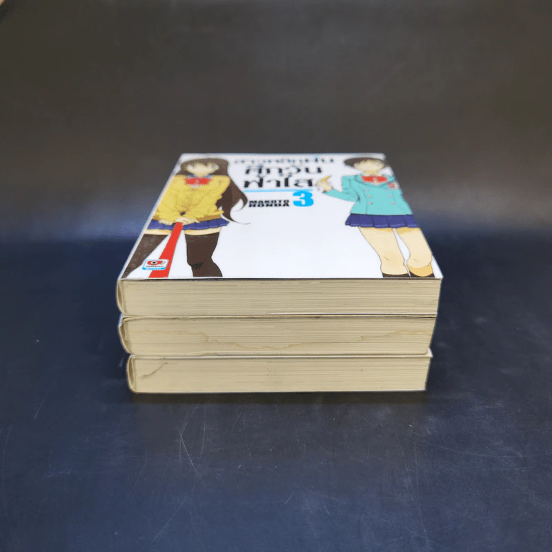 นิยาย สาวพลิกฝันศึกวันฟ้าใส เล่ม 1-3 รูปที่ 3