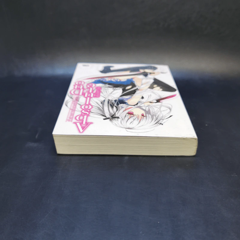 Absolute Duo คำสารภาพในราตรีสีคราม เล่ม 1 รูปที่ 6