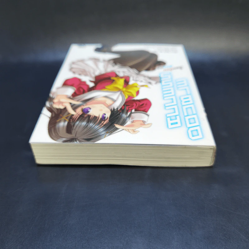 Double Access ล็อกซ้อน ซ่อนกล เล่ม 1 รูปที่ 6