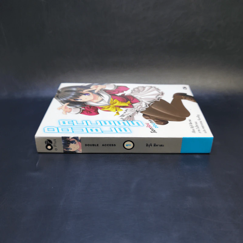Double Access ล็อกซ้อน ซ่อนกล เล่ม 1 รูปที่ 3