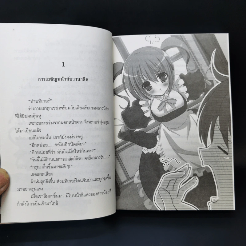 นิยาย วานาดีสกับราชันกระสุนมนตรา เล่ม 1-12 รูปที่ 10