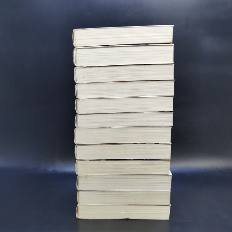 นิยาย วานาดีสกับราชันกระสุนมนตรา เล่ม 1-12 รูปที่ 3