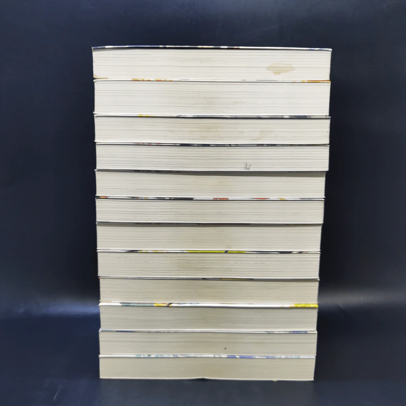 นิยาย วานาดีสกับราชันกระสุนมนตรา เล่ม 1-12 รูปที่ 4