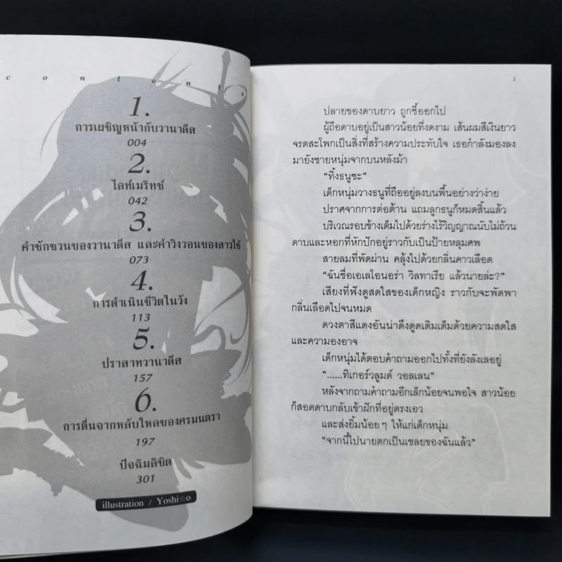 นิยาย วานาดีสกับราชันกระสุนมนตรา เล่ม 1-12 รูปที่ 9