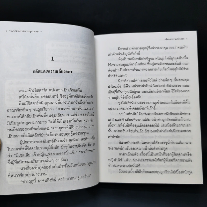 นิยาย วานาดีสกับราชันกระสุนมนตรา เล่ม 1-12 รูปที่ 33