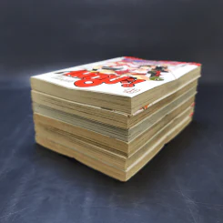 คุณครูจอมเวท เนกิมะ! เล่ม 1-6 รูปที่ 6