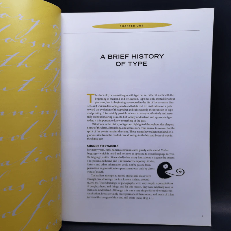 Type Rules: The Designer's Guide to Professional Typography รูปที่ 12