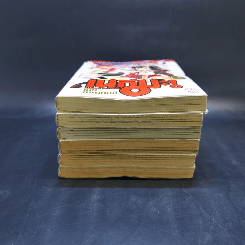 คุณครูจอมเวท เนกิมะ! เล่ม 1-6 รูปที่ 3