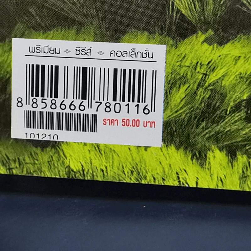 เรื่องย่อละคร Premium 4 หัวใจแห่งขุนเขา รูปที่ 14