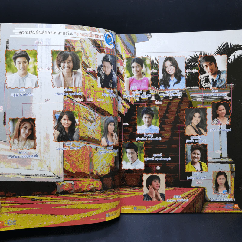เรื่องย่อละคร Premium 3 หนุ่มเนื้อทอง รูปที่ 10