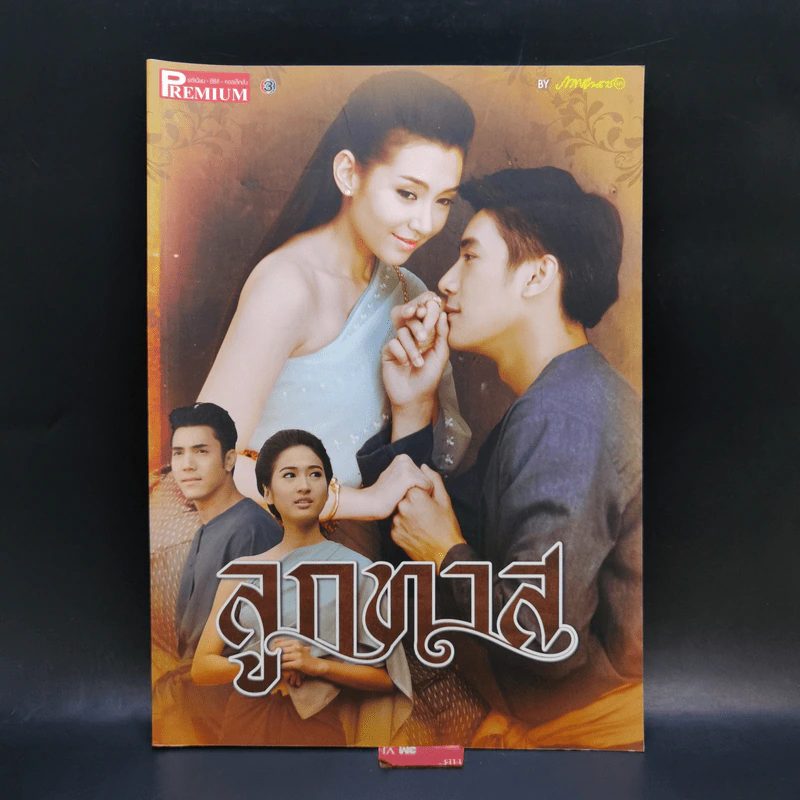 เรื่องย่อละคร Premium ลูกทาส รูปที่ 1