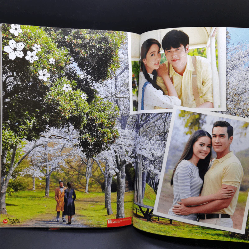 เรื่องย่อละคร Premium Rising Sun รอยรักหักเหลี่ยมตะวัน รอยฝันตะวันเดือด รูปที่ 12