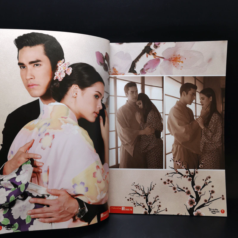 เรื่องย่อละคร Premium Rising Sun รอยรักหักเหลี่ยมตะวัน รอยฝันตะวันเดือด รูปที่ 9