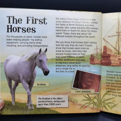 Groovy Tube Book Horses รูปที่ 10