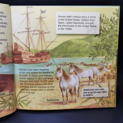 Groovy Tube Book Horses รูปที่ 11