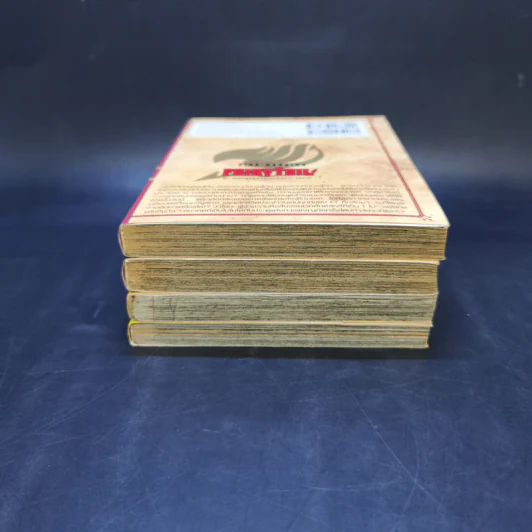 Fairy Tail ศึกจอมเวทอภินิหาร เล่ม 16,22,39,40 รูปที่ 3