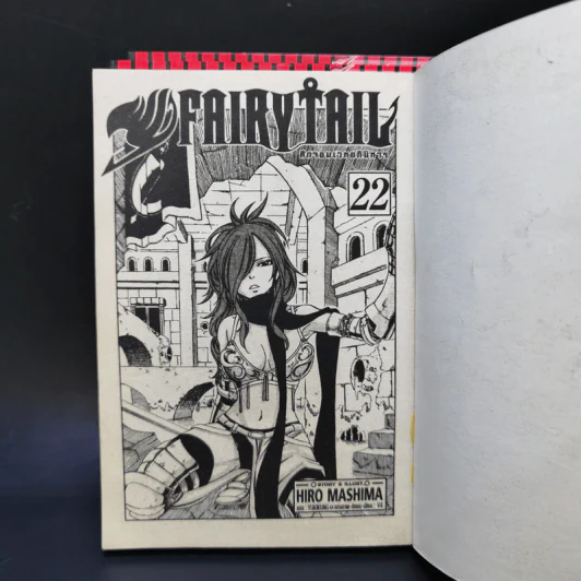 Fairy Tail ศึกจอมเวทอภินิหาร เล่ม 16,22,39,40 รูปที่ 12