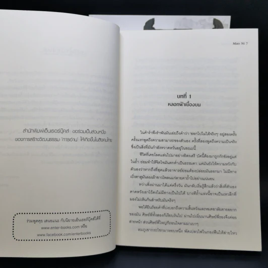 สยบฟ้าพิชิตปฐพี เล่ม 14-15 รูปที่ 10
