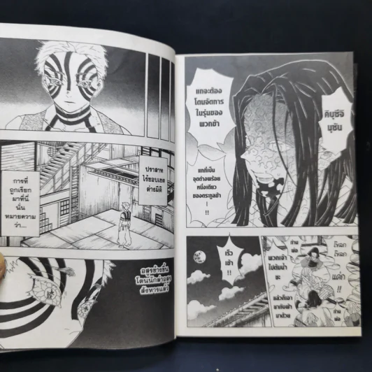 ดาบพิฆาตอสูร เล่ม 11 รูปที่ 11