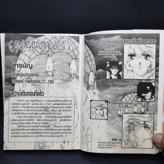 คุณหญิงมงกุฎดอกไม้ เล่ม 4 - Chiho Saito รูปที่ 8