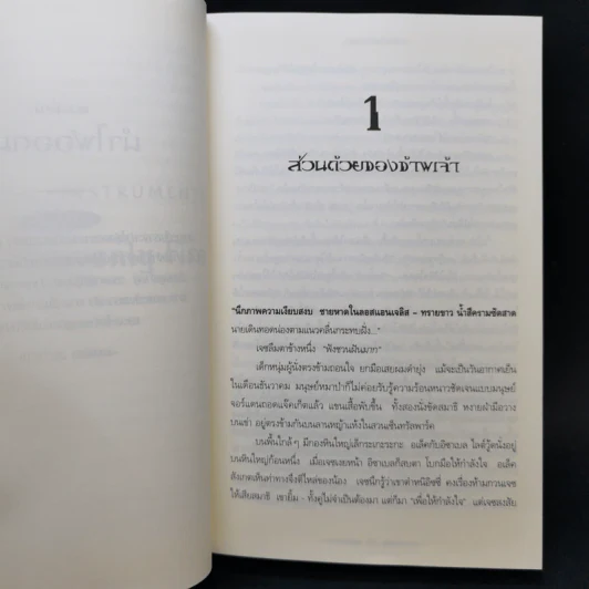 นครรัตติกาล เล่ม 6 เมืองไฟสวรรค์ - Cassandra Clare (คาสซานดรา แคลร์) รูปที่ 11