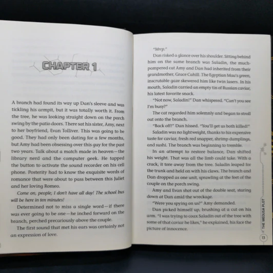 The 39 Clues Book One + Book Two รูปที่ 9