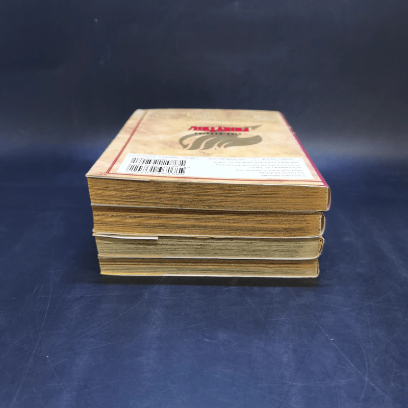 Fairy Tail ศึกจอมเวทอภินิหาร เล่ม 16,22,39,40 รูปที่ 5
