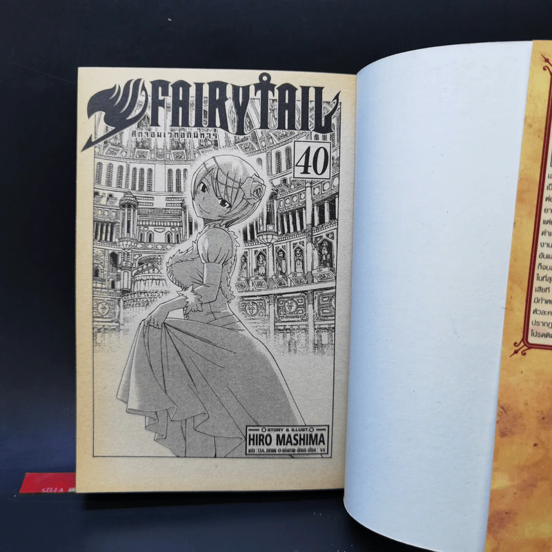 Fairy Tail ศึกจอมเวทอภินิหาร เล่ม 16,22,39,40 รูปที่ 18