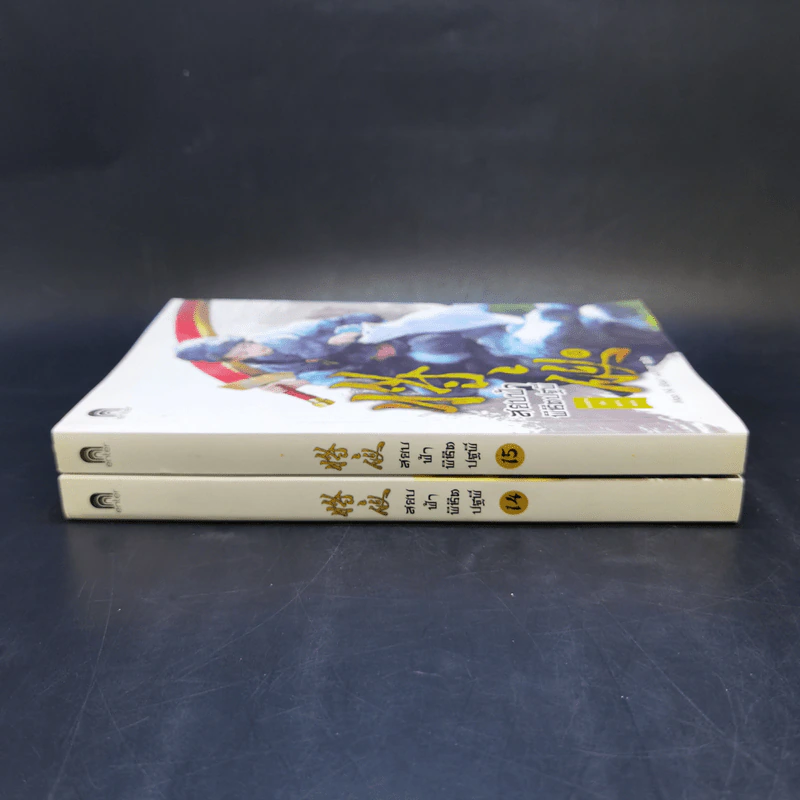 สยบฟ้าพิชิตปฐพี เล่ม 14-15 รูปที่ 2