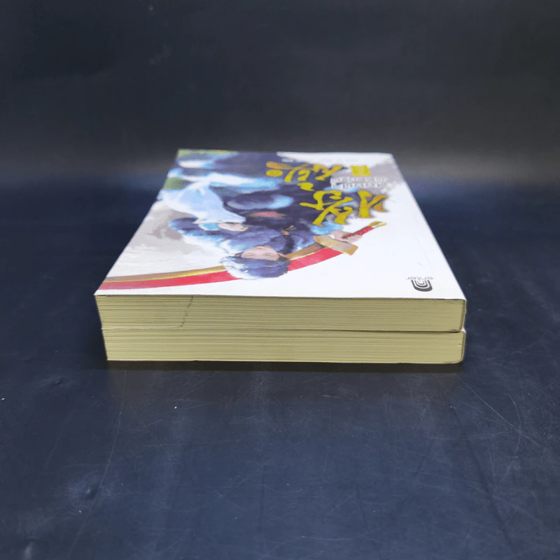 สยบฟ้าพิชิตปฐพี เล่ม 14-15 รูปที่ 5