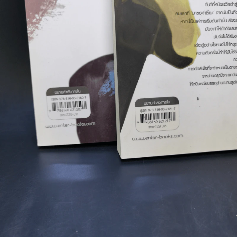 สยบฟ้าพิชิตปฐพี เล่ม 14-15 รูปที่ 12