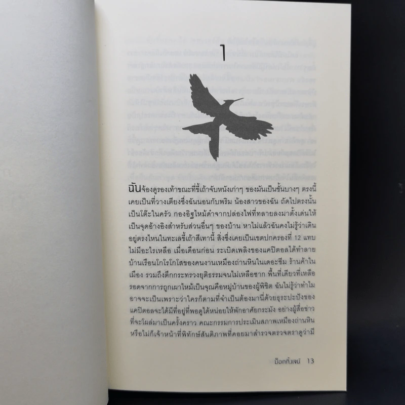 The Hunger Games III เกมล่าชีวิต 3 ม็อกกิ้งเจย์ รูปที่ 10