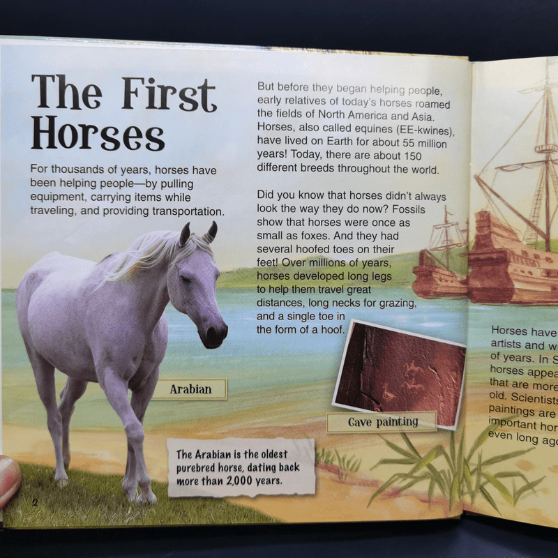 Groovy Tube Book Horses รูปที่ 10