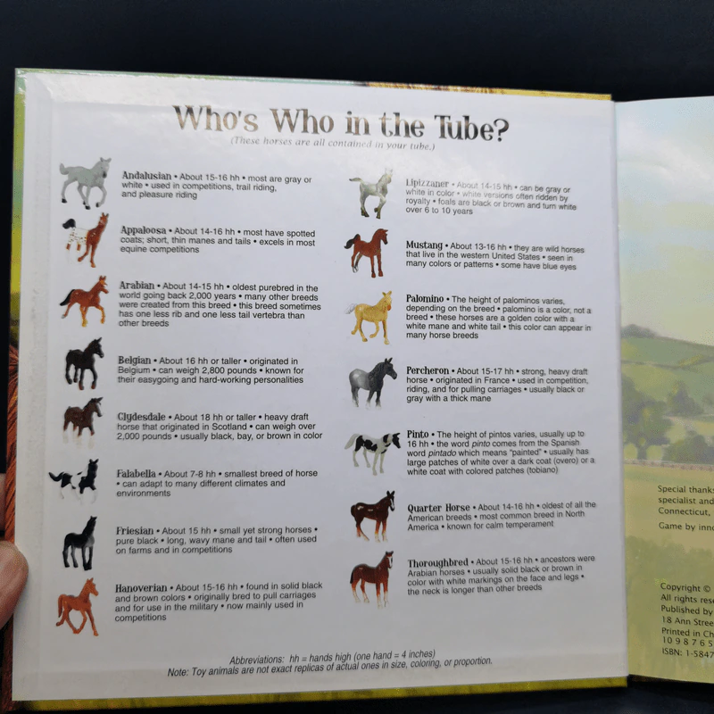 Groovy Tube Book Horses รูปที่ 8