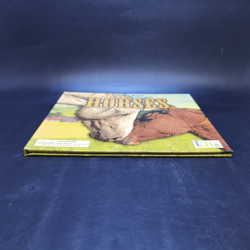 Groovy Tube Book Horses รูปที่ 4