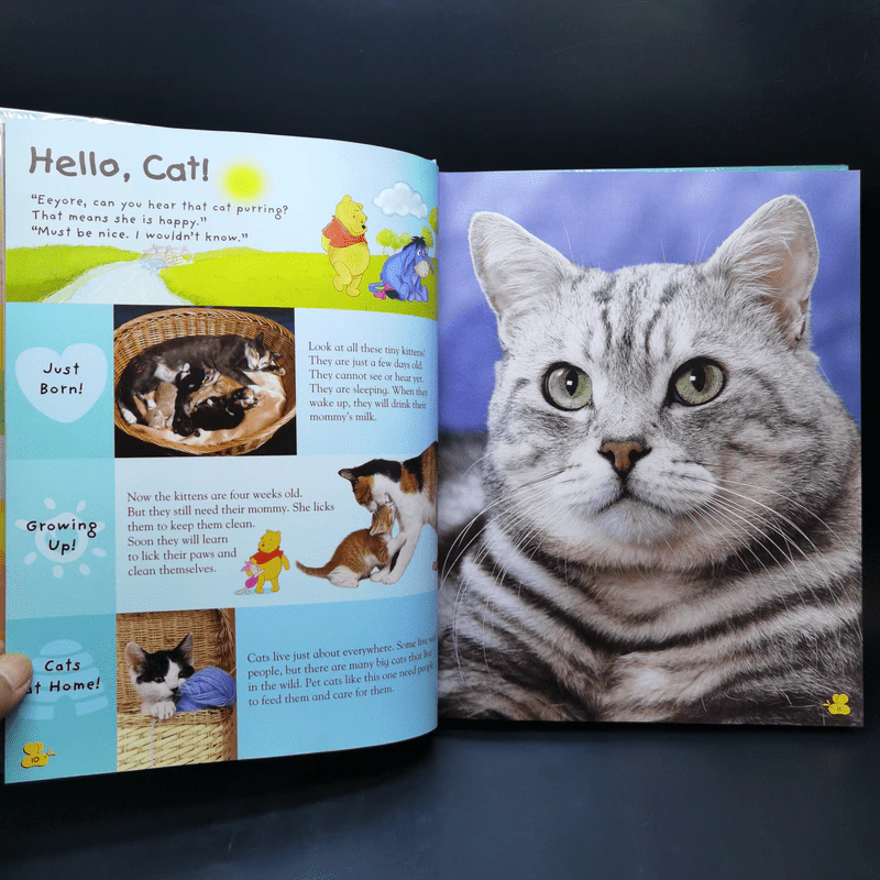 My Very First Encyclopedia Animals รูปที่ 12