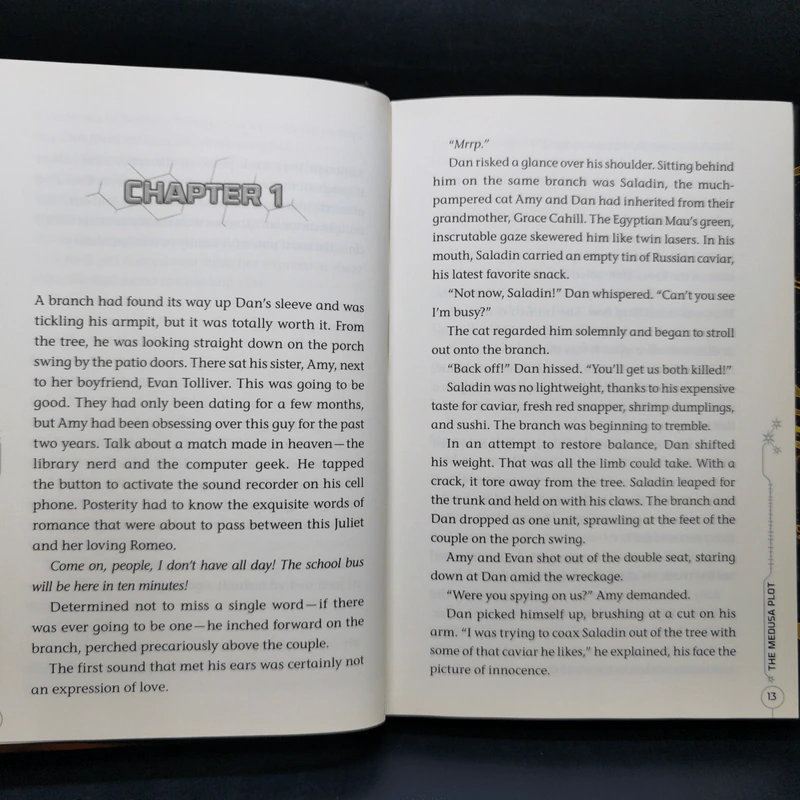 The 39 Clues Book One + Book Two รูปที่ 9