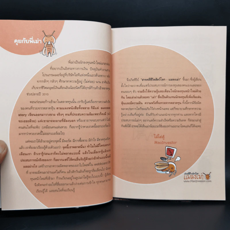 เล่นหุ้นกับพี่เม่า - ไม้ไต่คู้ รูปที่ 9