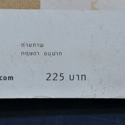 Diy & Eco Living : 22 ไอเดียทำของแต่งบ้านเก๋ๆ กรีนๆ - ศักดิ์ชัย ศรีวัฒนาปิติกุล รูปที่ 14