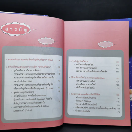 รวยได้เพราะธุรกิจเครือข่าย MLM - ทศวรรษ พิณทาบทองบุ รูปที่ 9