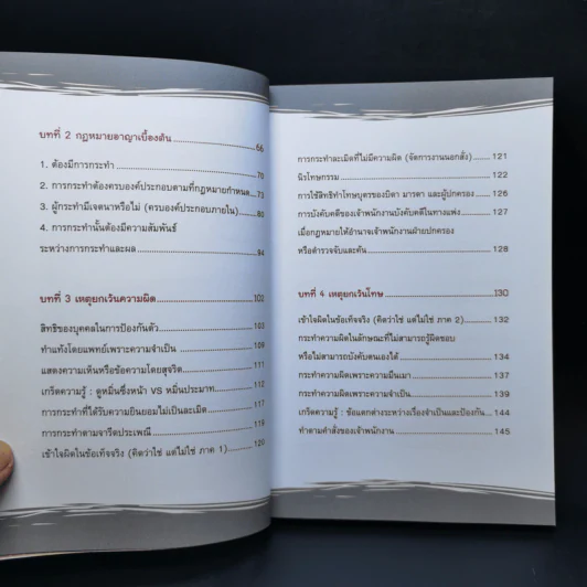 รู้ทันกฎหมายอาญาไม่ยาก - ปรีย์ชนก จิรภิวงศ์ รูปที่ 11