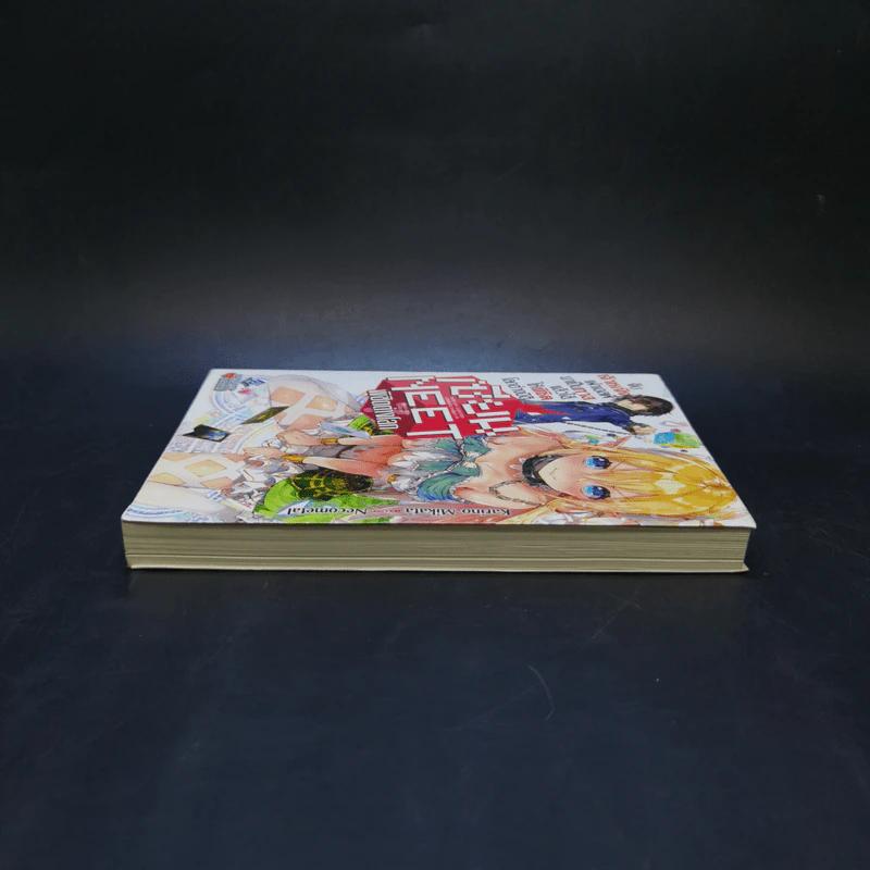 นิยาย เซียนนีทพิชิตต่างโลก เล่ม 1 รูปที่ 5