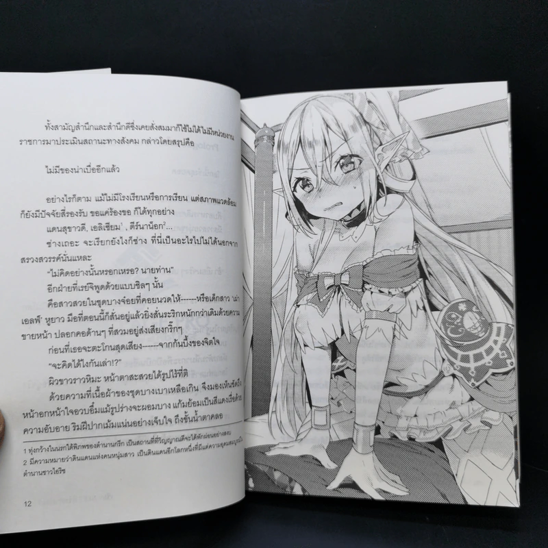 นิยาย เซียนนีทพิชิตต่างโลก เล่ม 1 รูปที่ 11