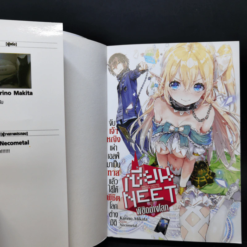 นิยาย เซียนนีทพิชิตต่างโลก เล่ม 1 รูปที่ 8