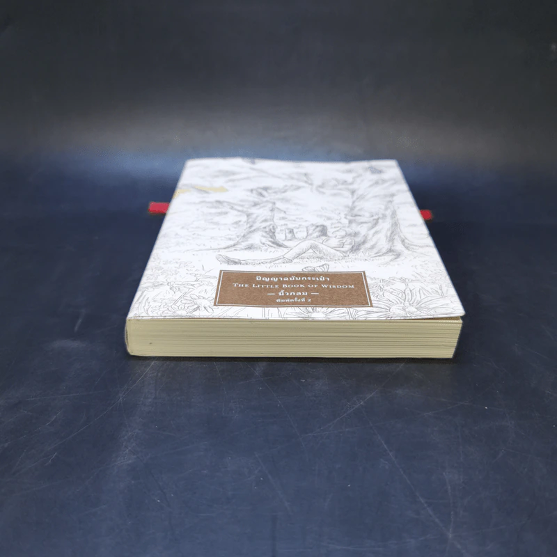 ปัญญาฉบับกระเป๋า The Little Book of Wisdom - นิ้วกลม รูปที่ 4