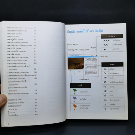 Thailand Bird Guide คู่มือจำแนกชนิดนกด้วยภาพถ่าย - รุ่งโรจน์ จุกมงคล รูปที่ 10